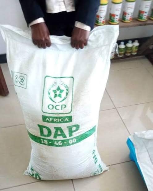 DAP Fertilizer Advantages and Disadvantages