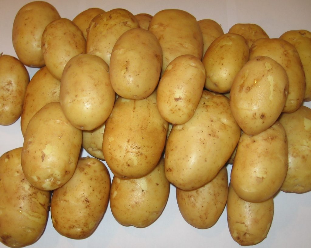 What Is Markies Potatoes Yield Per Acre?