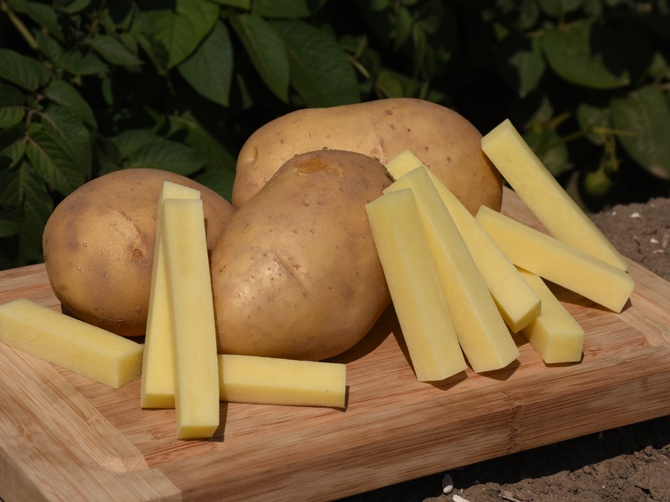 Markies Potatoes Yield Per Acre