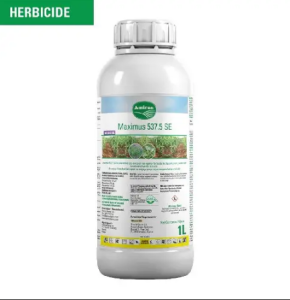 Maximus 537.5 SE Maize Herbicide