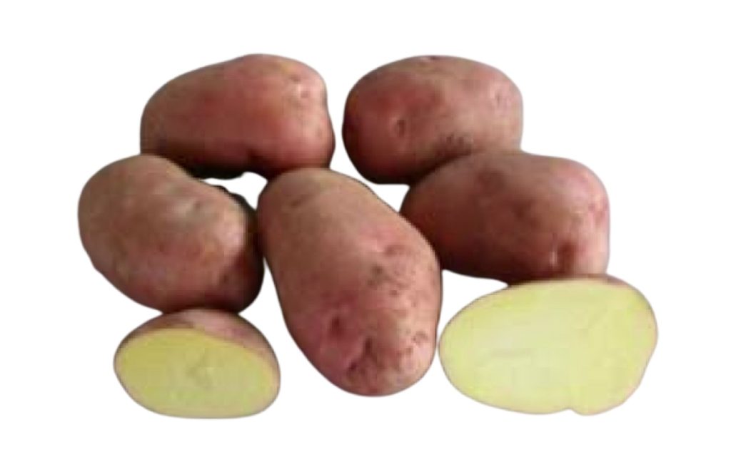 Unica Potatoes Yield Per Acre