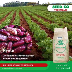 Nyota Beans Pictures