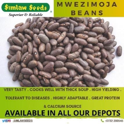 Mwezi Moja Beans Yield Per Acre