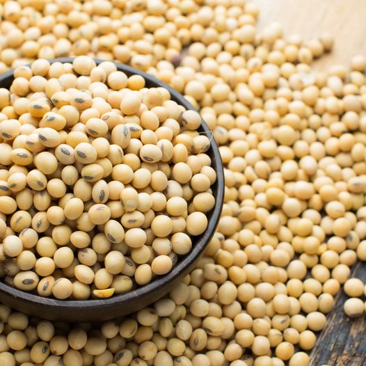 Soya Beans Yield Per Acre In Kenya