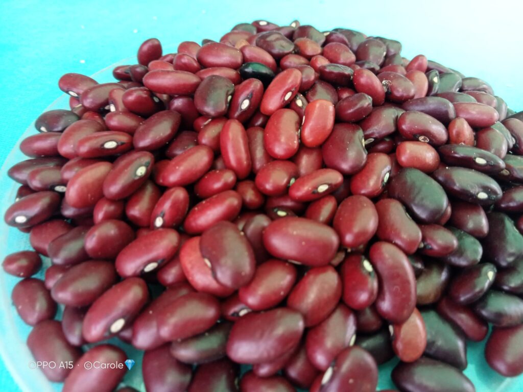 Wairimu Beans Yield Per Acre In Kenya