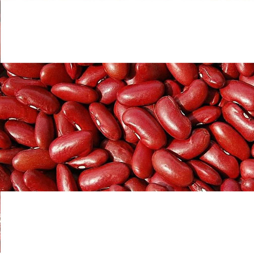 Wairimu Beans Yield Per Acre In Kenya