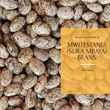 Mwitemania (GLP92) Beans Yield Per Acre