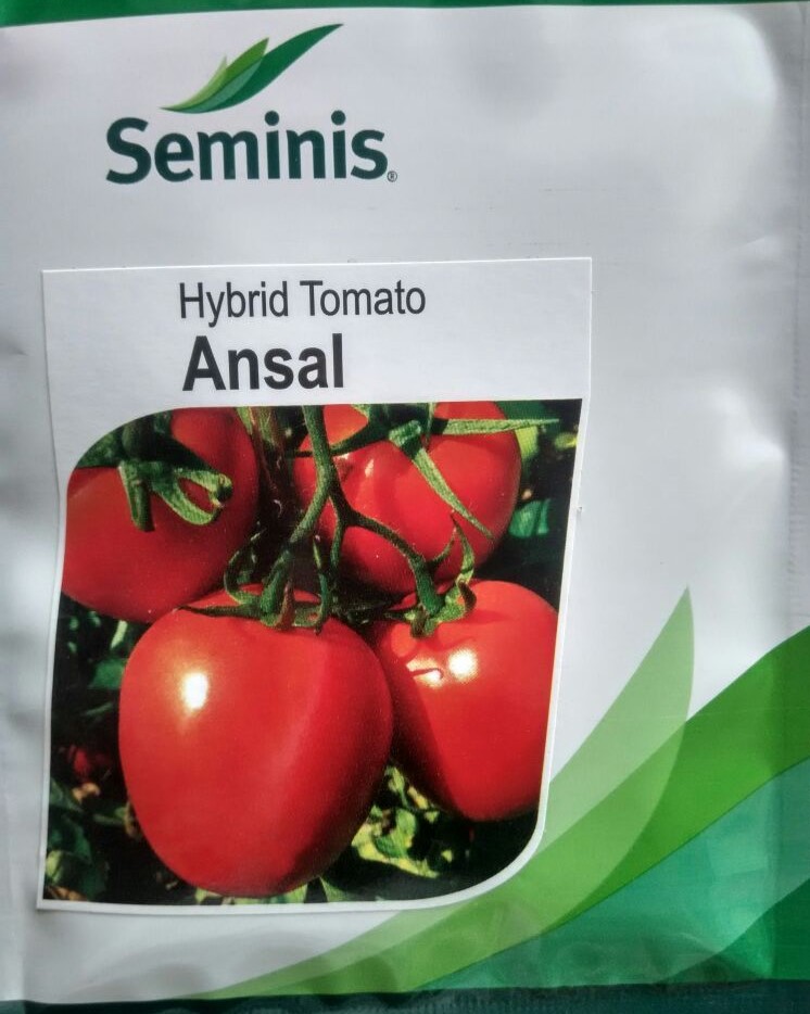 Ansal F1 Tomatoes Yield & Profit Per Acre In Kenya